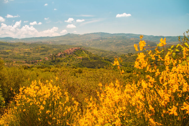 Tra la Val d’Orcia e l’Amiata per un progetto nuovo: Seggiano 360